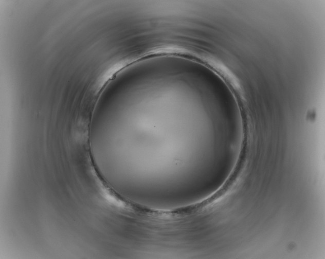 X0000091960945200709061259