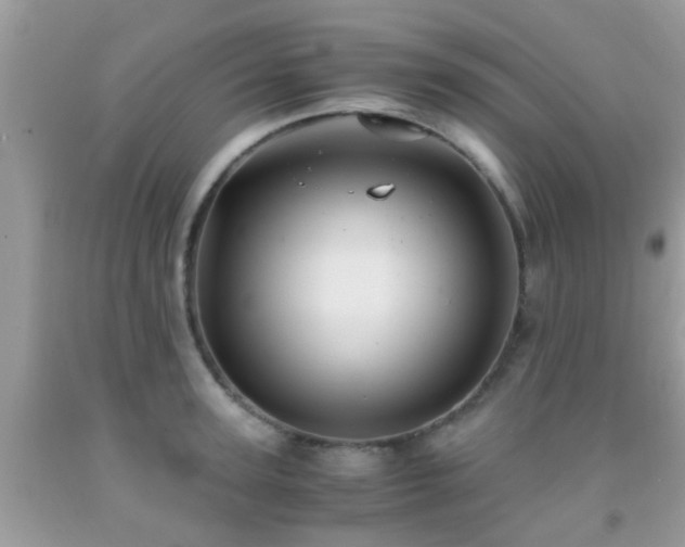 X0000091960947200709061259