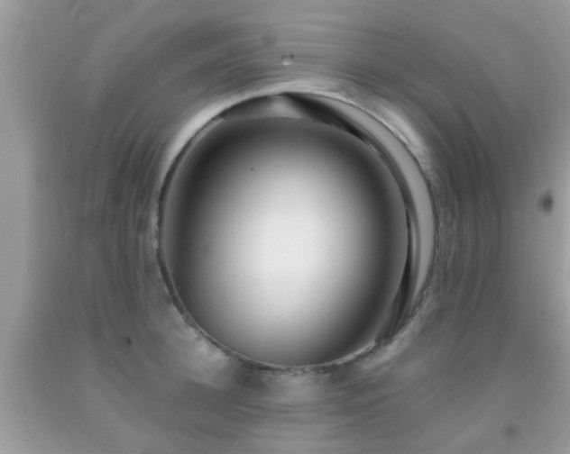 X0000091960948200709061259