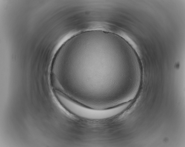 X0000091960949200709061259