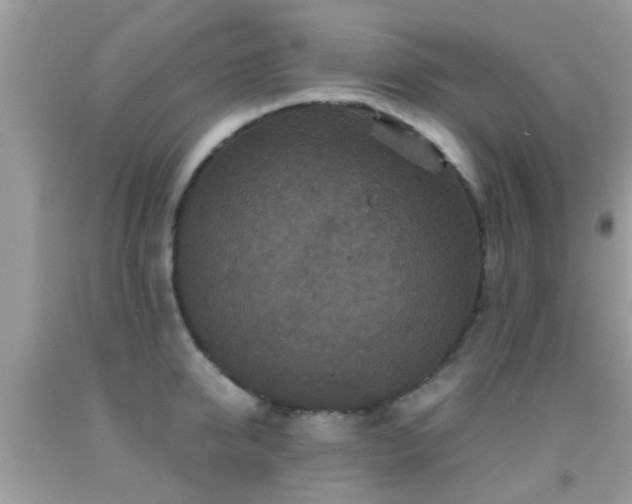 X0000091960950200709061259