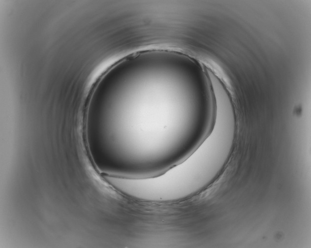 X0000091960952200709061259