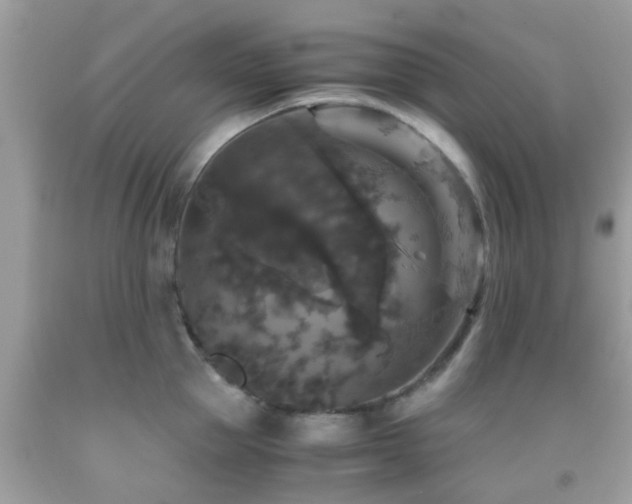 X0000091960953200709061259