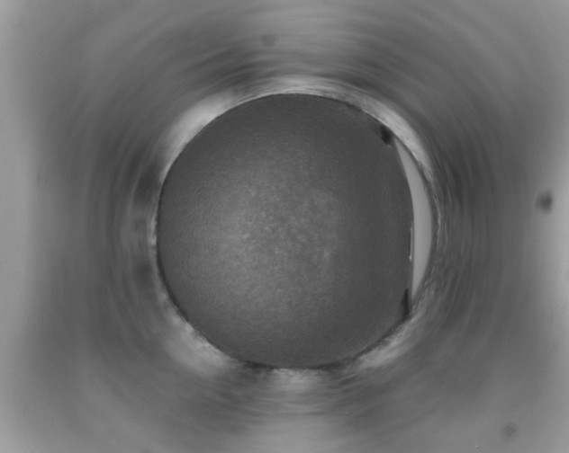 X0000091960954200709061259