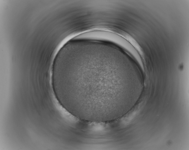 X0000091960955200709061259