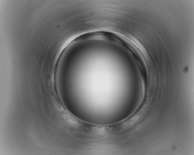 X0000091960956200709061259