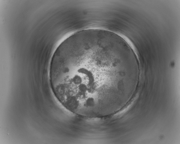 X0000091960957200709061259