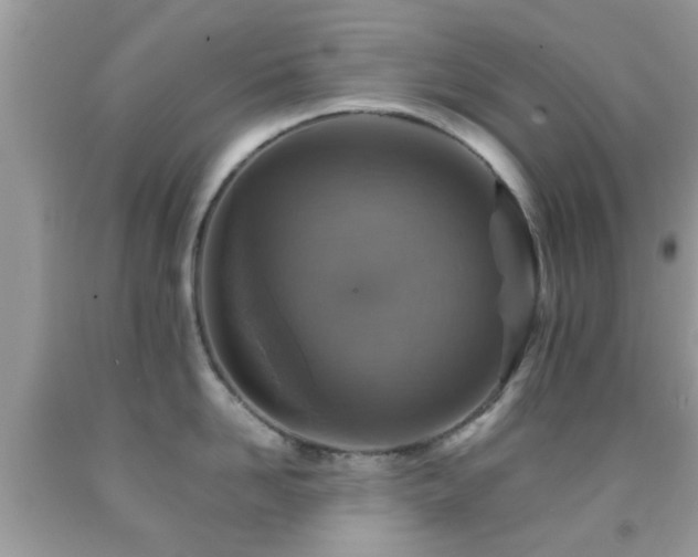 X0000091960958200709061259