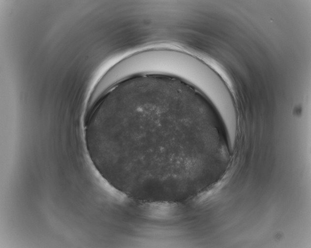 X0000091960959200709061259