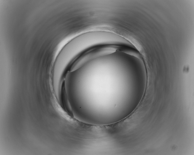 X0000091960960200709061259