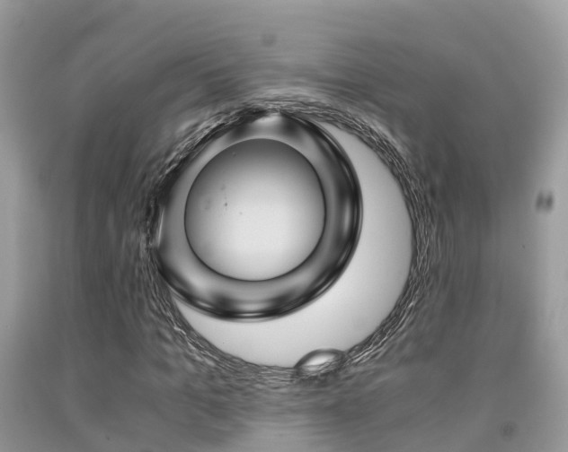 X0000091960965200709061258