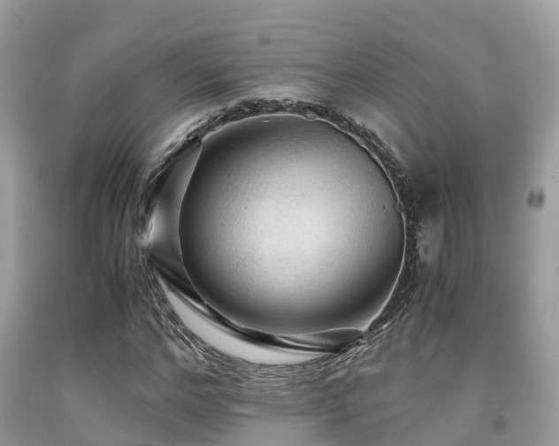 X0000091960968200709061258