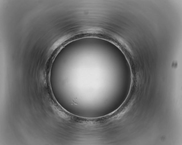 X0000091960970200709061258