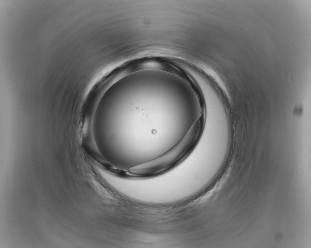 X0000091960973200709061258