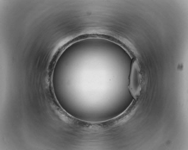 X0000091960974200709061258