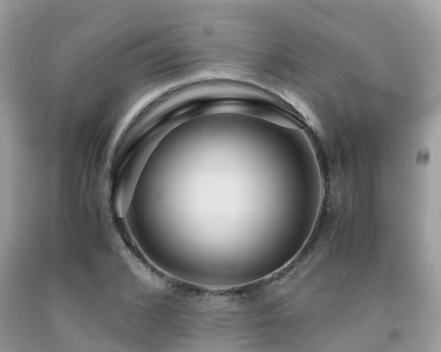 X0000091960976200709061258