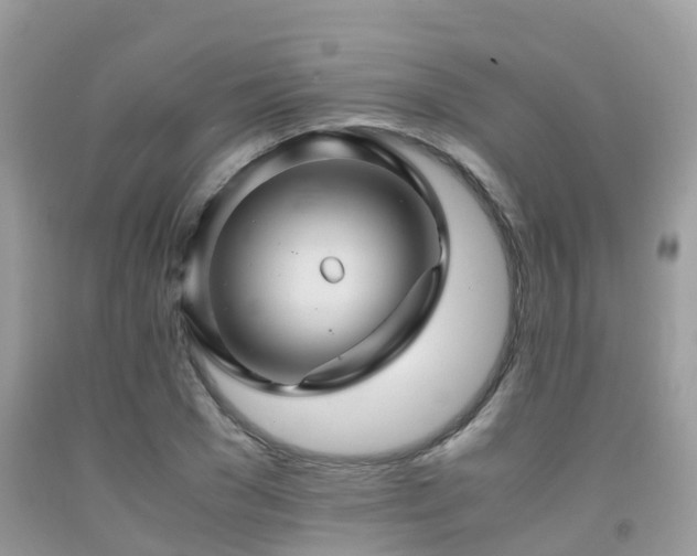 X0000091960977200709061258