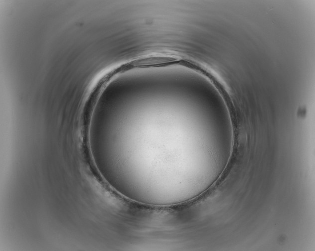 X0000091960979200709061258