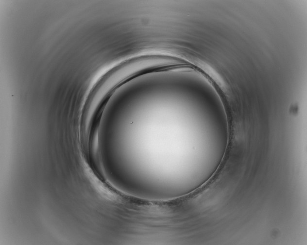 X0000091960980200709061258