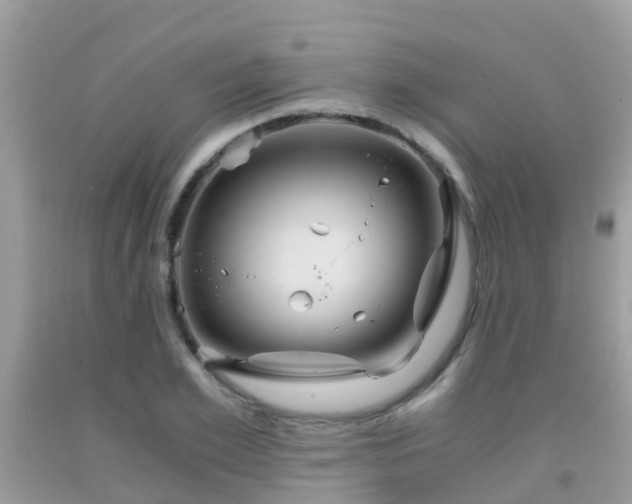 X0000091960981200709061258