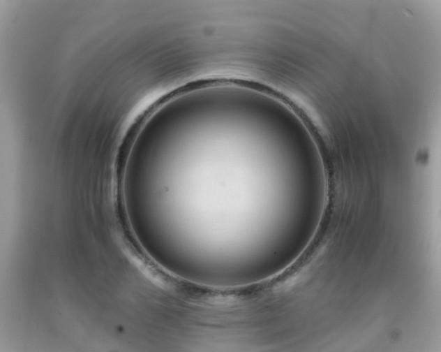 X0000091960982200709061258