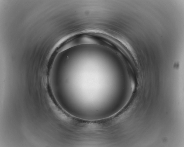 X0000091960984200709061258