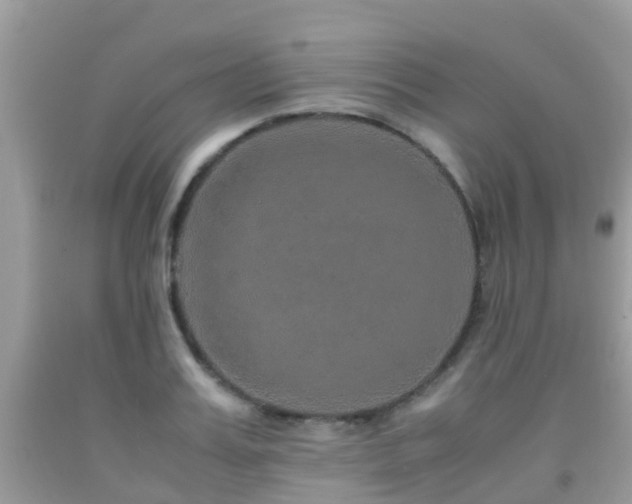 X0000091960987200709061258