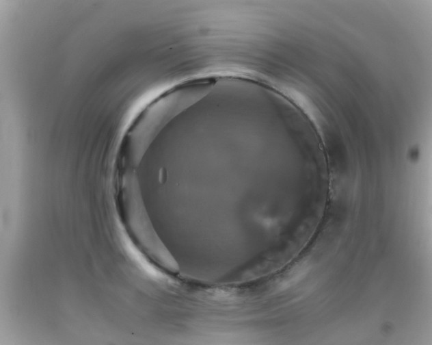 X0000091960995200709061258