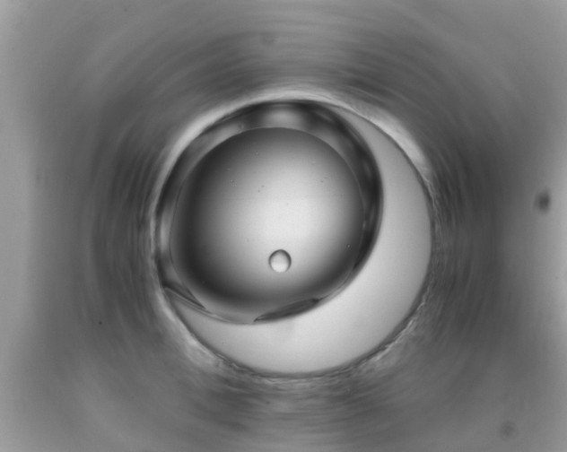 X0000091960996200709061258