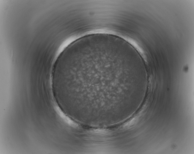 X0000091960998200709061258