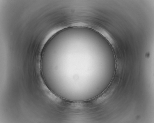 X0000091961000200709061258