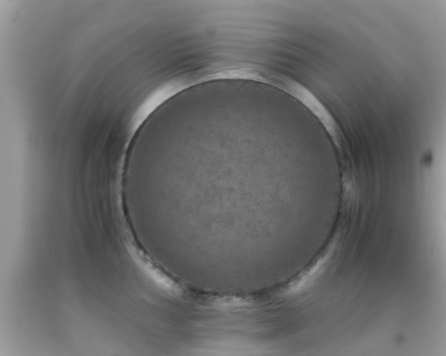 X0000091961002200709061258