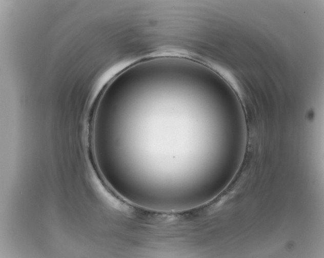 X0000091961003200709061258