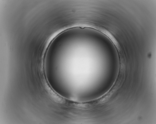 X0000091961004200709061258