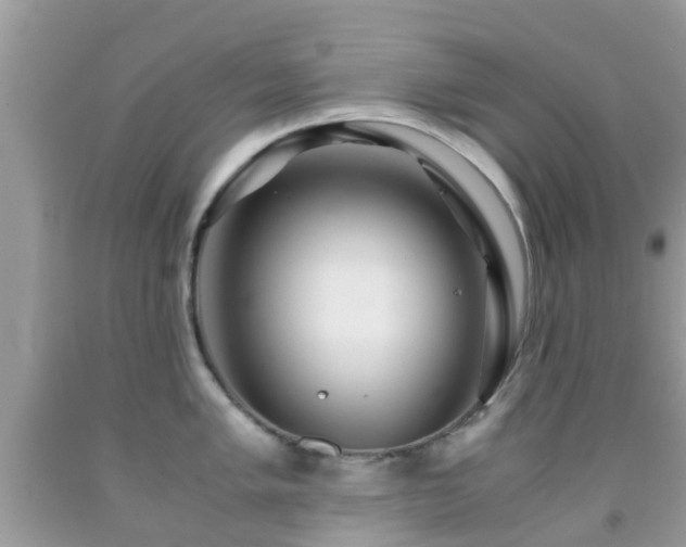 X0000091961005200709061258