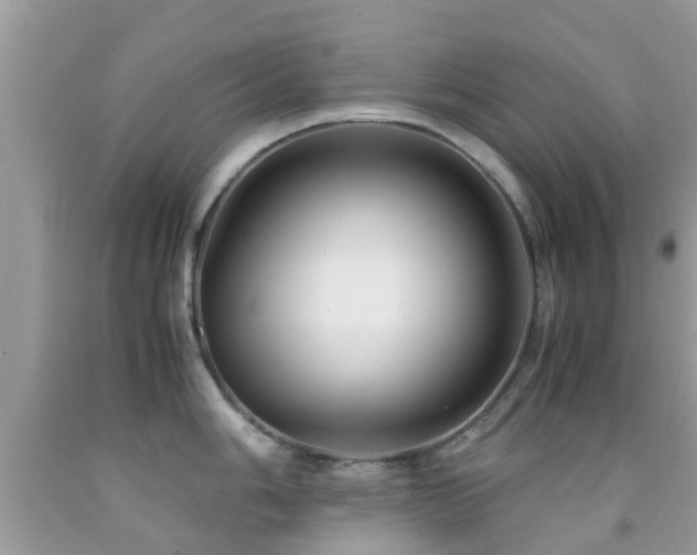 X0000091961006200709061258