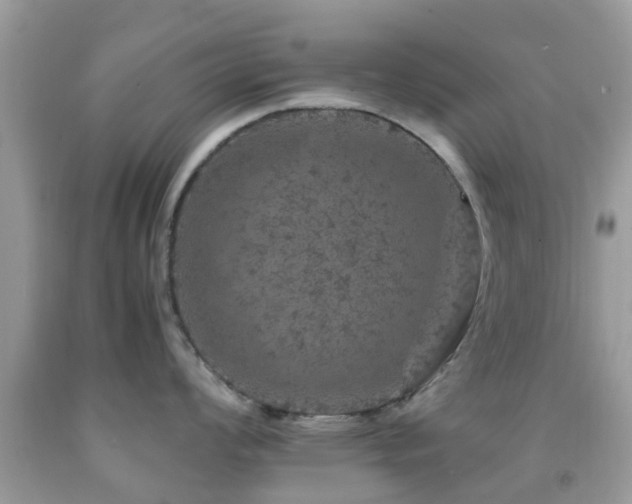 X0000091961008200709061258