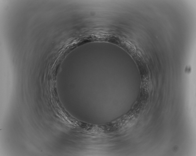 X0000091961009200709061257