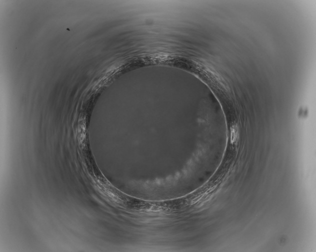 X0000091961011200709061257