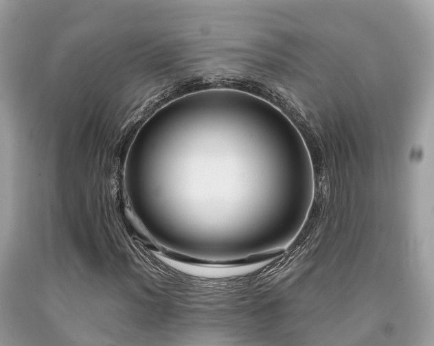 X0000091961012200709061257