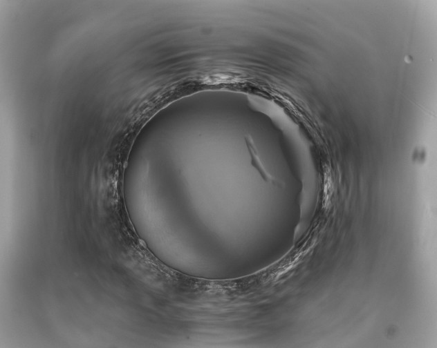 X0000091961013200709061257