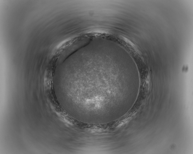 X0000091961014200709061257