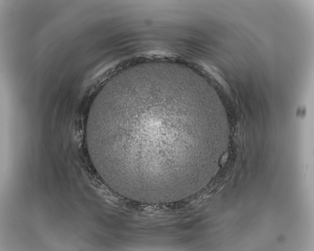 X0000091961015200709061257