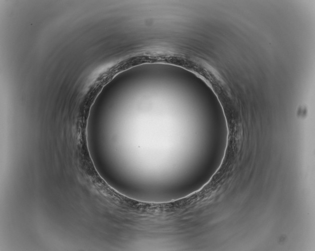 X0000091961016200709061257