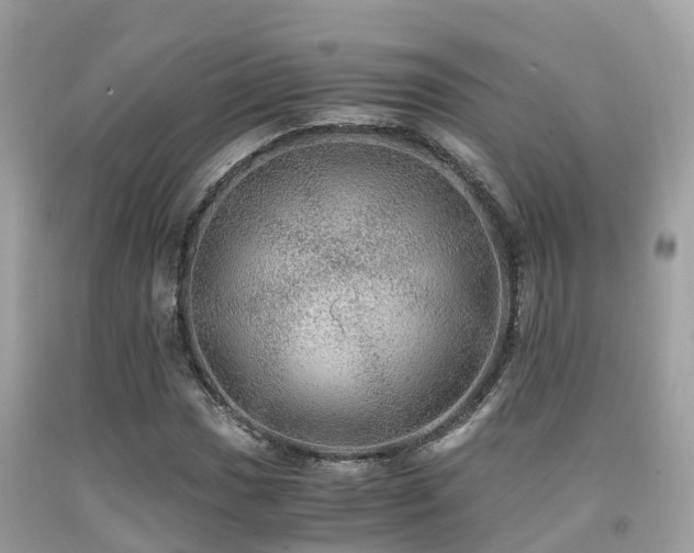 X0000091961017200709061257