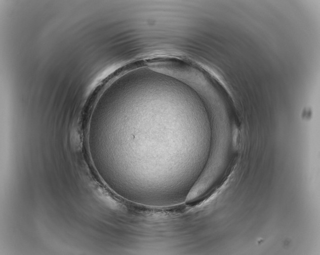 X0000091961018200709061257