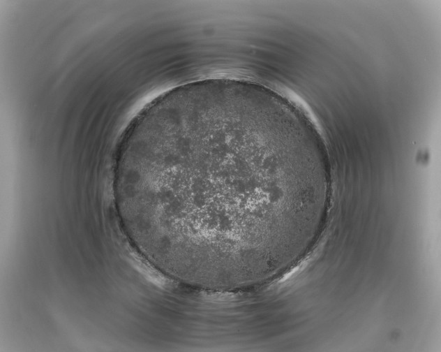 X0000091961019200709061257