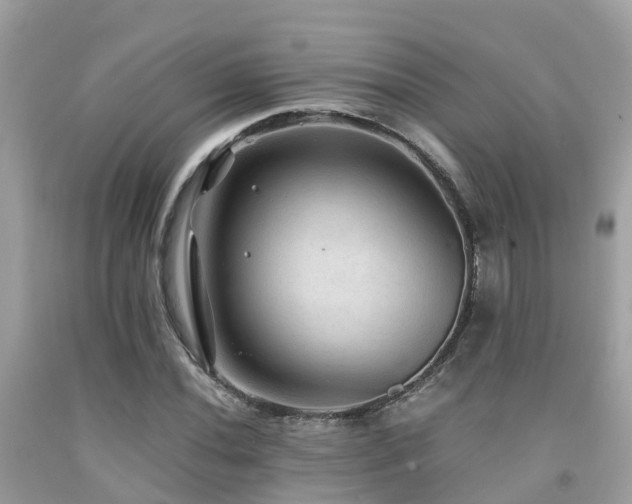 X0000091961020200709061257