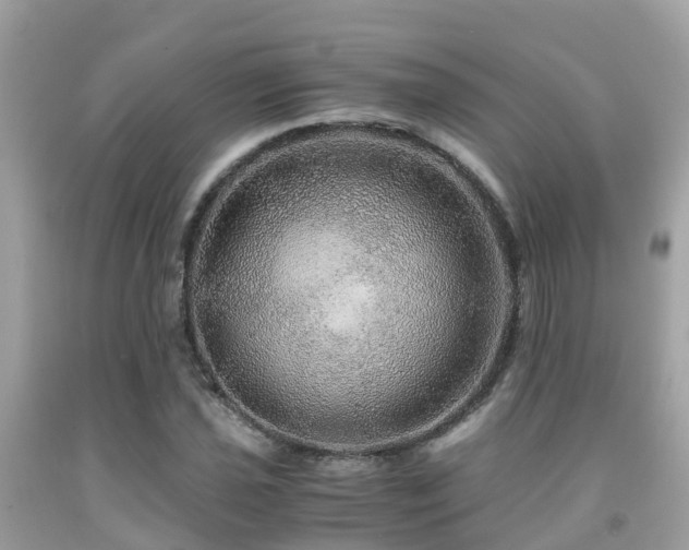 X0000091961021200709061257