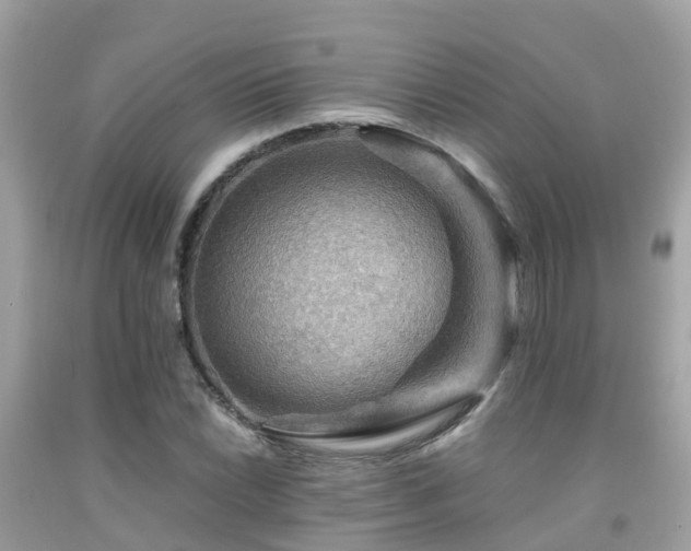 X0000091961022200709061257